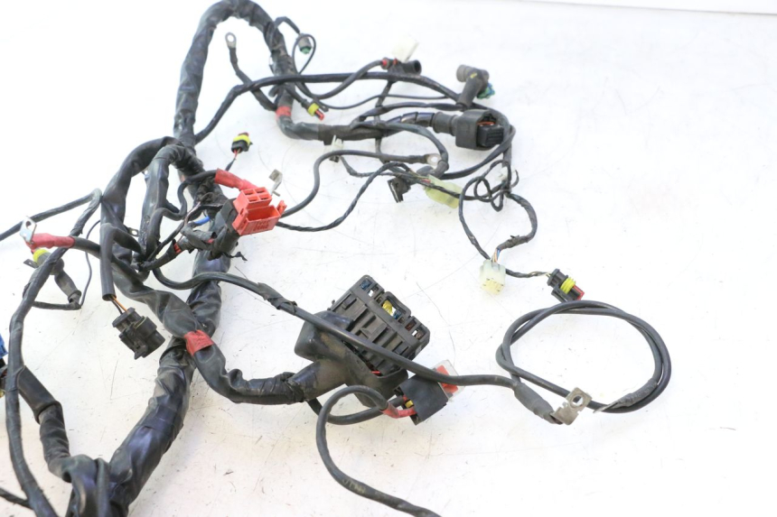 photo de WIRE HARNESS PIAGGIO MP3 500 (2016 - 2018) - Checked used part