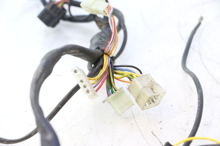photo de WIRE HARNESS RIEJU MRT PRO SUPERMOTARD 50 (2007 - 2018) - Component zoom