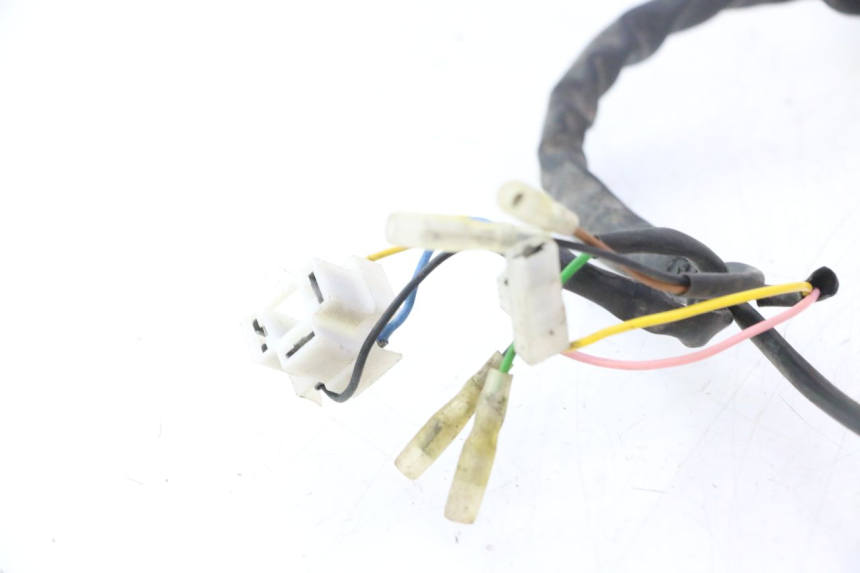 photo de WIRE HARNESS RIEJU MRT PRO SUPERMOTARD 50 (2007 - 2018) - Zoom on usage condition