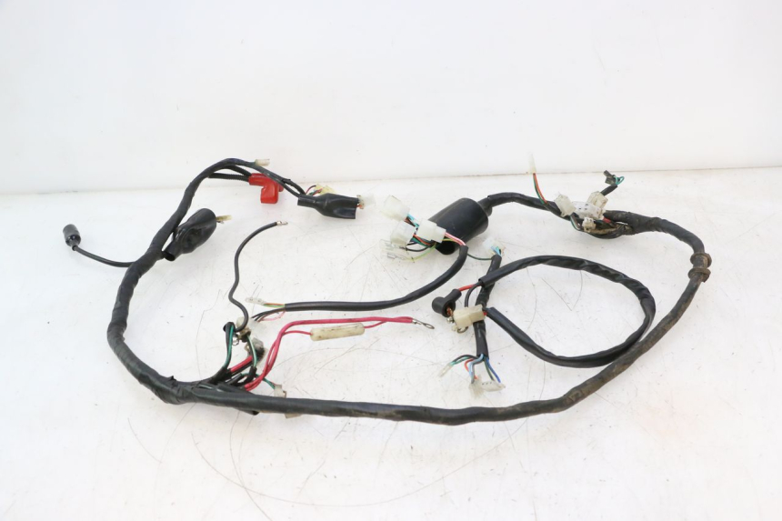 photo de WIRE HARNESS IMF INDUSTRIE NEW PACH 2T 50 (2014 - 2020) - Component detail