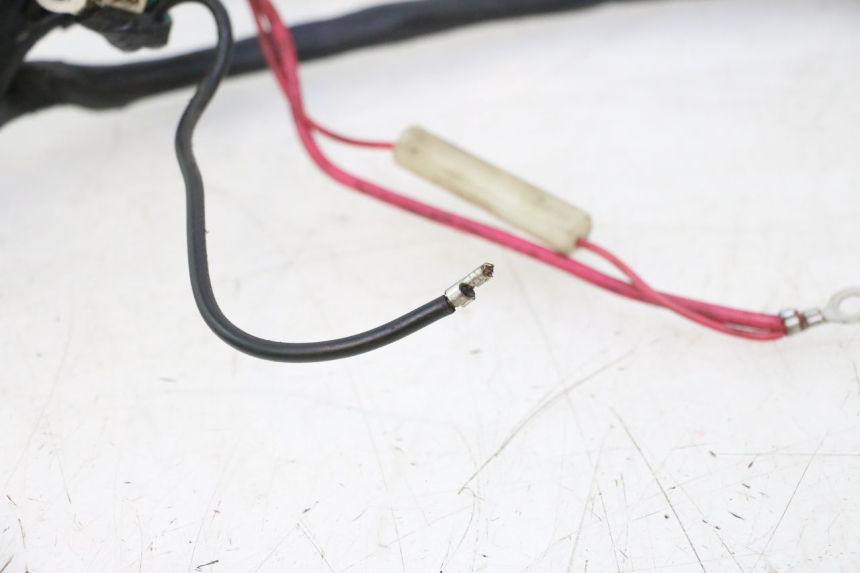 photo de WIRE HARNESS IMF INDUSTRIE NEW PACH 2T 50 (2014 - 2020) - Alternative perspective