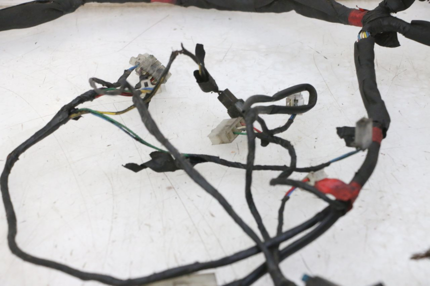 photo de WIRE HARNESS PIAGGIO NEW TYPHOON 50 (2010 - 2017) - Distinctive features