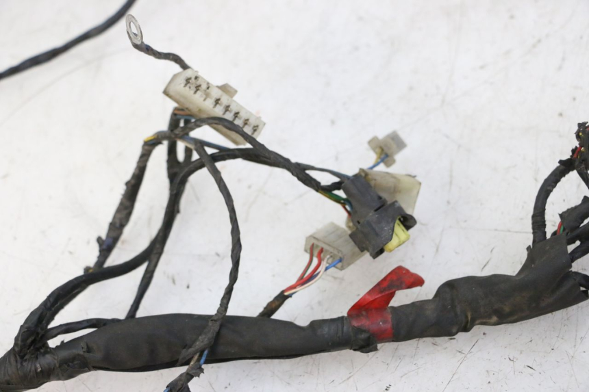photo de WIRE HARNESS PIAGGIO NEW TYPHOON 50 (2010 - 2017) - Alternative perspective