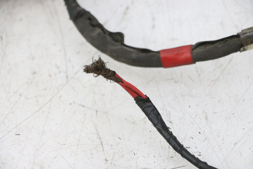 photo de WIRE HARNESS PIAGGIO NEW TYPHOON 50 (2010 - 2017) - Checked used part