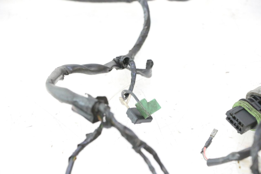 photo de WIRING HARNESS PIAGGIO NEW TYPHOON 50 (2018 - 2021) - Technical close-up