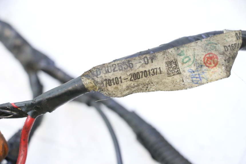 photo de WIRING HARNESS PIAGGIO NEW TYPHOON 50 (2018 - 2021) - Checked used part