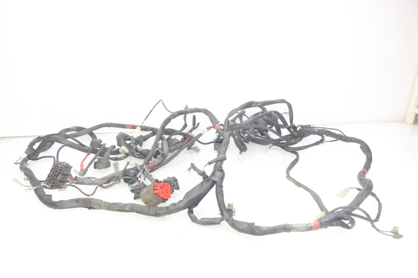 photo de WIRING HARNESS GILERA NEXUS 125 (2007 - 2009) - Component detail