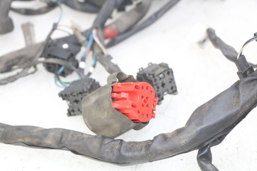 photo de WIRING HARNESS GILERA NEXUS 125 (2007 - 2009) - Zoom on usage condition