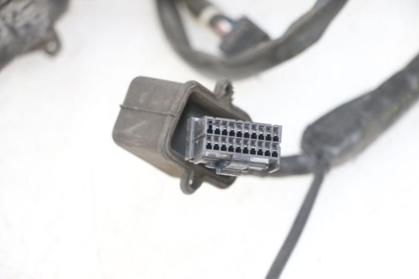 photo de WIRING HARNESS GILERA NEXUS 125 (2009 - 2013) - Distinctive features