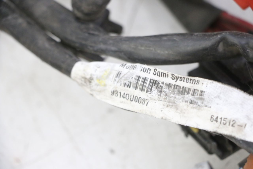 photo de WIRING HARNESS GILERA NEXUS 125 (2009 - 2013) - Alternative perspective