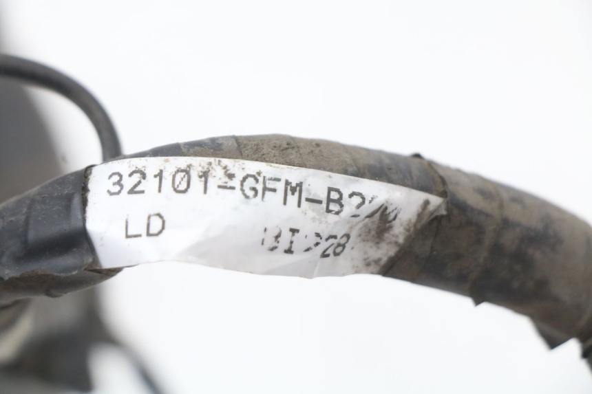 photo de WIRE HARNESS HONDA NHX LEAD 110 (2008 - 2010) - High-resolution close-up