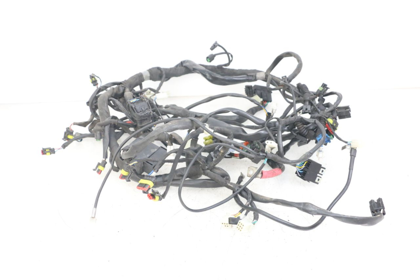 photo de WIRE HARNESS MOTO GUZZI NORGE 8V GT 1200 (2011 - 2016) - Component detail