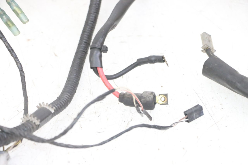 photo de WIRE HARNESS PIAGGIO NRG POWER PUREJET 50 (2018 - 2021) - Checked used part