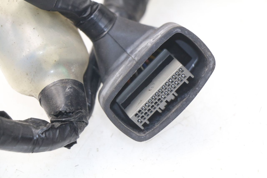 photo de WIRE HARNESS HONDA NSS EX FORZA 250 (2005 - 2013) - Product overview