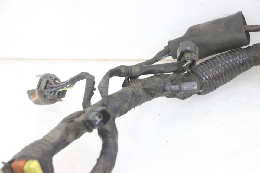 photo de WIRE HARNESS HONDA NTV DEAUVILLE ABS 700 (2007 - 2016) - Distinctive features