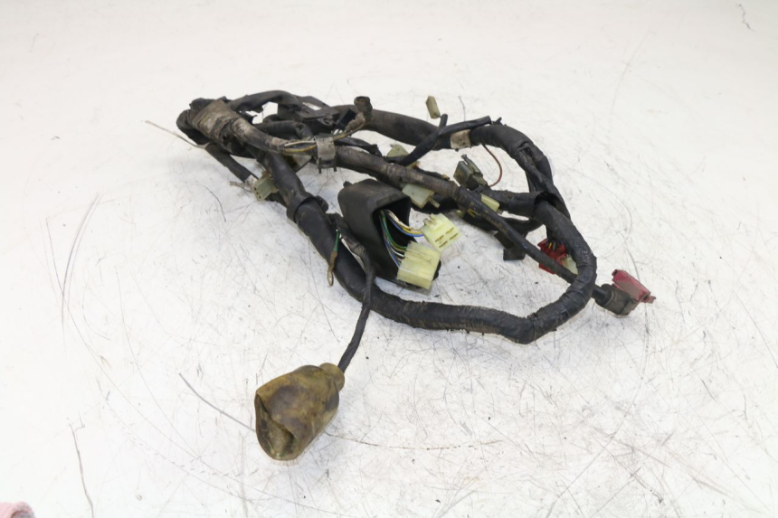 photo de WIRE HARNESS HONDA NTV REVERSE 650 (1993 - 1994) - Component detail