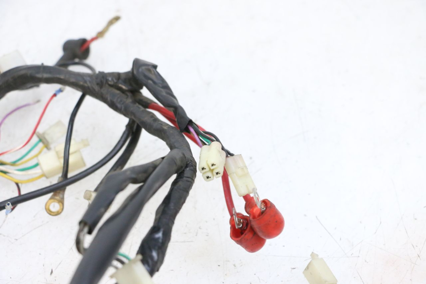 photo de WIRING HARNESS JM MOTORS OLDIES 4T 50 (2010 - 2020) - Component detail