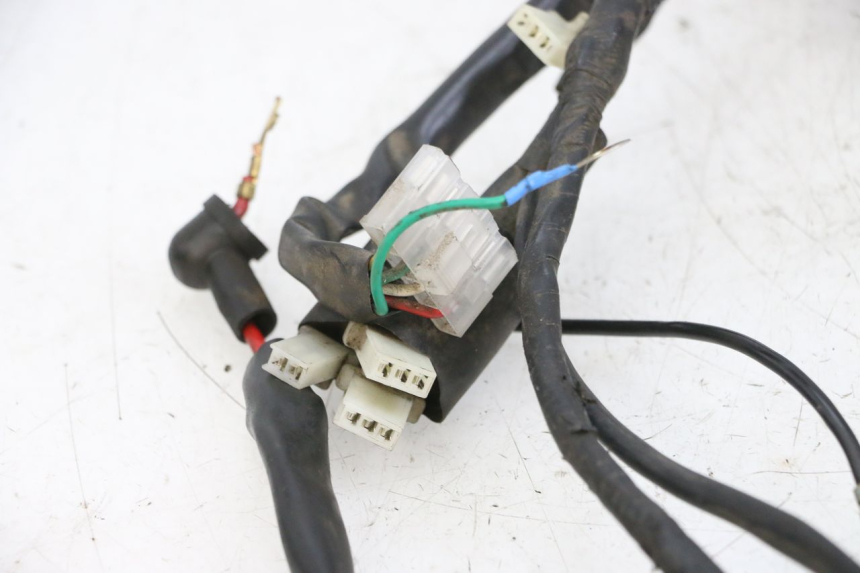 photo de WIRING HARNESS JM MOTORS OLDIES 4T 50 (2010 - 2020) - Zoom on usage condition