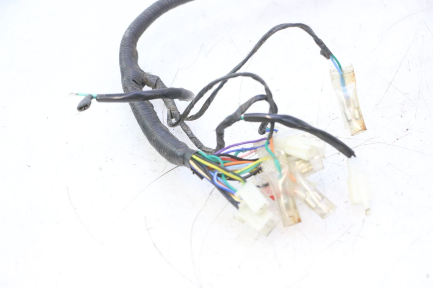 photo de WIRING HARNESS JM MOTORS OLDIES 4T 50 (2010 - 2020) - Alternative angle