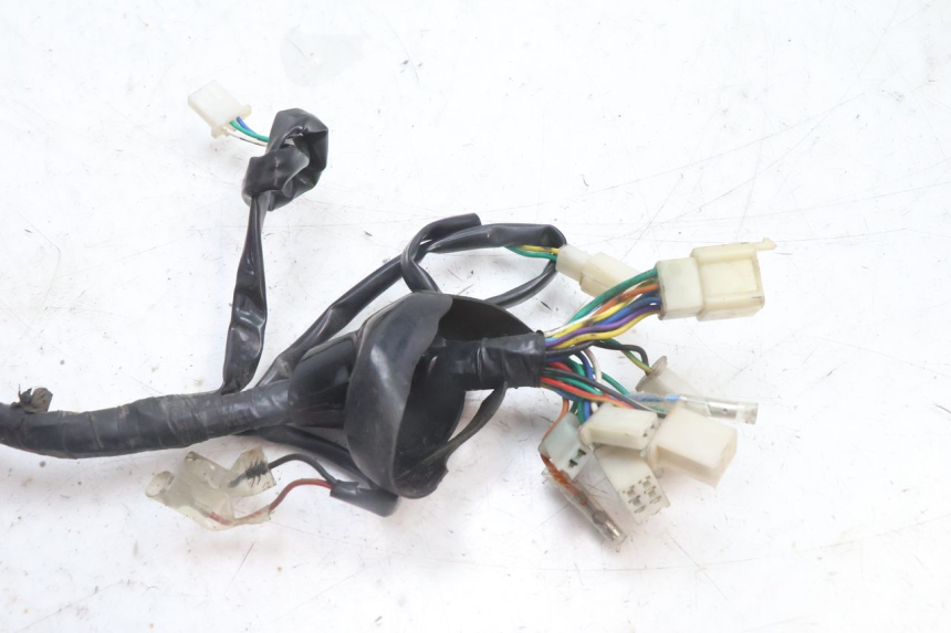 photo de WIRING HARNESS JM MOTORS OLDIES 4T 50 (2010 - 2020) - Component detail