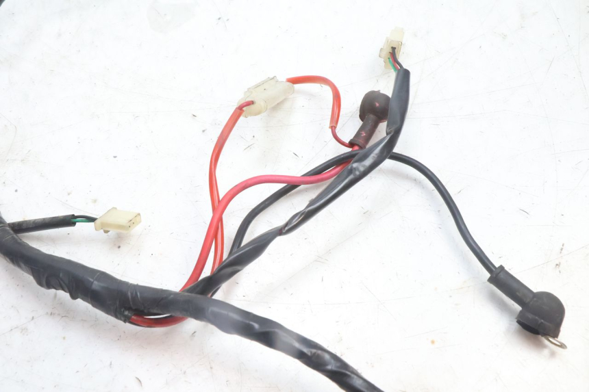 photo de WIRING HARNESS JM MOTORS OLDIES 4T 50 (2010 - 2020) - Zoom on usage condition