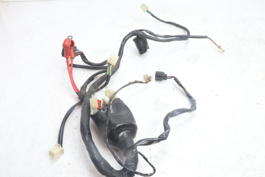 photo de WIRING HARNESS JM MOTORS OLDIES 4T 50 (2010 - 2020) - Alternative perspective