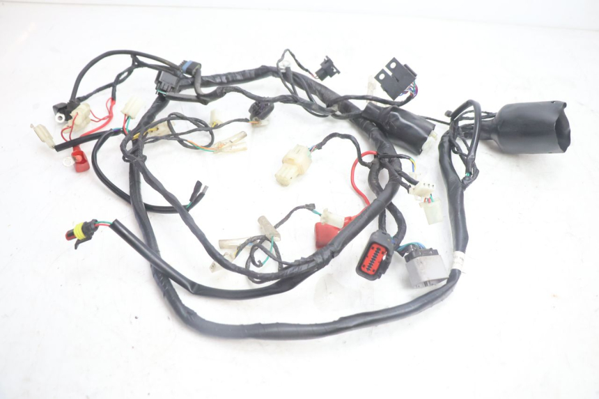 photo de WIRE HARNESS JM MOTORS OLDIES 4T 50 (2020 - 2026) - Main view