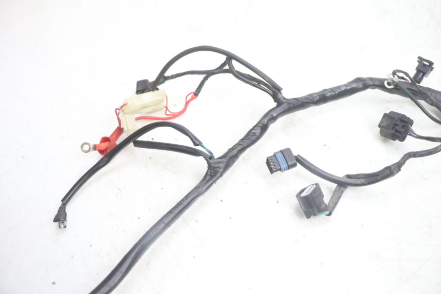 photo de WIRE HARNESS JM MOTORS OLDIES 4T 50 (2020 - 2026) - Zoom on usage condition