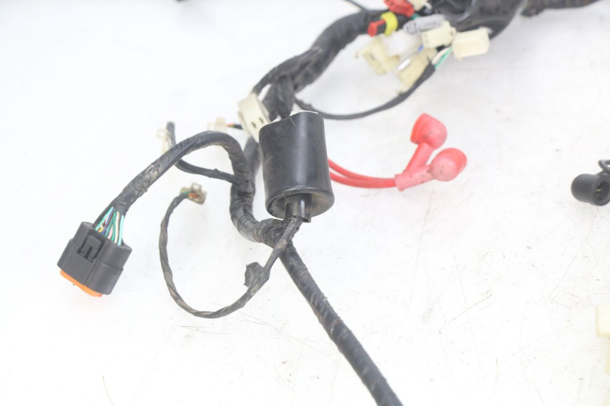 photo de WIRING HARNESS JM MOTORS OLDIES RS 4T 50 (2021 - 2024) - Additional view of the item