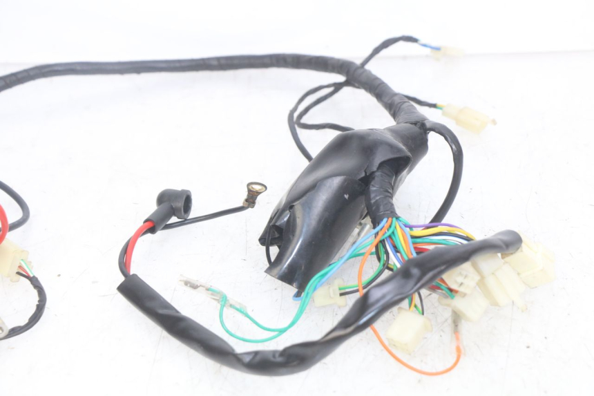 photo de WIRING HARNESS JM MOTORS OLDIES RS 4T 50 (2021 - 2024) - Alternative perspective
