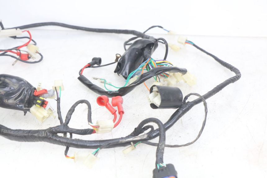 photo de WIRING HARNESS JM MOTORS OLDIES RS 4T 50 (2021 - 2024) - Product overview