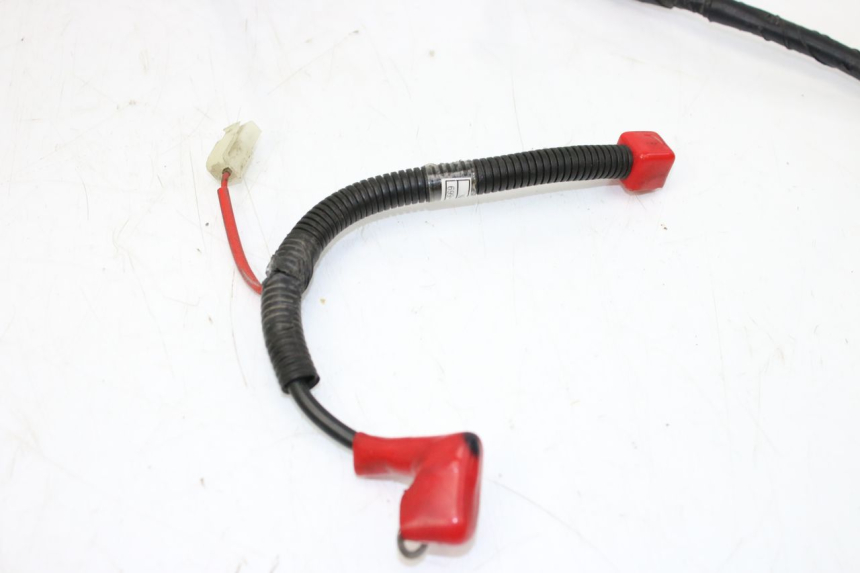 photo de WIRING HARNESS SYM ORBIT III 3 4T 50 (2018 - 2021) - Component detail