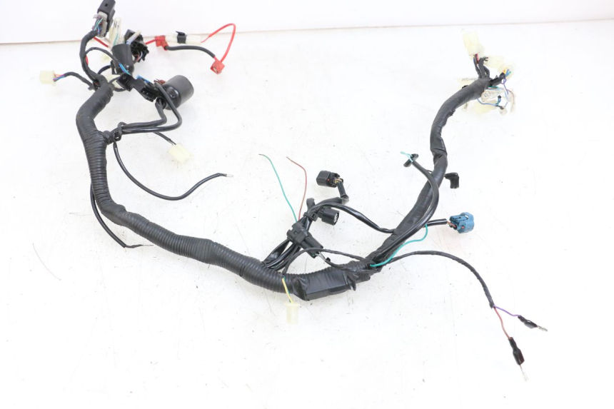 photo de WIRE HARNESS ASTOR ORCAL 125 (2015 - 2017) - Zoom on usage condition