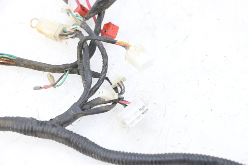 photo de WIRE HARNESS IMF INDUSTRIE PACH 2T 50 (2009 - 2018) - Technical close-up