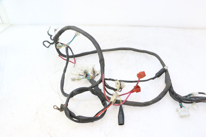 photo de WIRE HARNESS IMF INDUSTRIE PACH 2T 50 (2009 - 2013) - Component detail