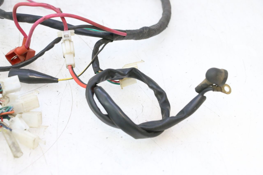 photo de WIRE HARNESS IMF INDUSTRIE PACH 2T 50 (2009 - 2013) - Distinctive features