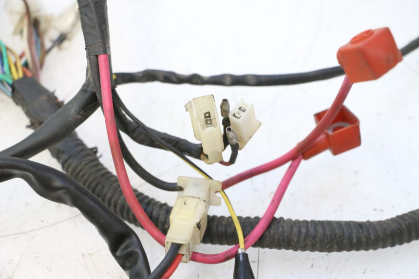photo de WIRE HARNESS IMF INDUSTRIE PACH 2T 50 (2009 - 2013) - Zoom on usage condition