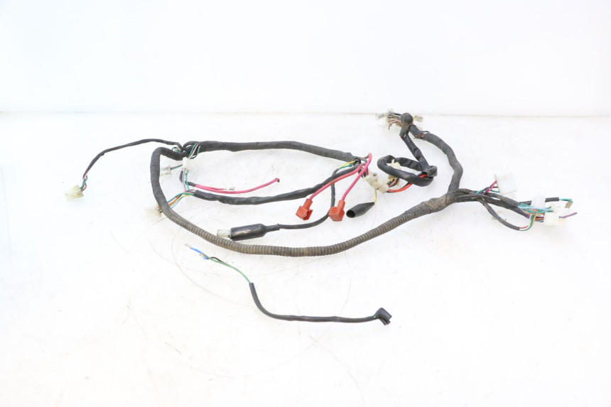 photo de WIRE HARNESS IMF INDUSTRIE PACH 2T 50 (2009 - 2013) - Fixing points details