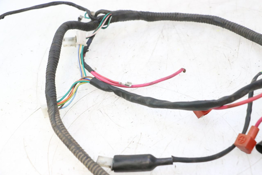 photo de WIRE HARNESS IMF INDUSTRIE PACH 2T 50 (2009 - 2013) - Surface and material condition