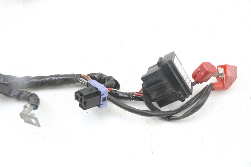 photo de WIRING HARNESS HONDA PCX (JF47) 125 (2012 - 2013) - Alternative perspective