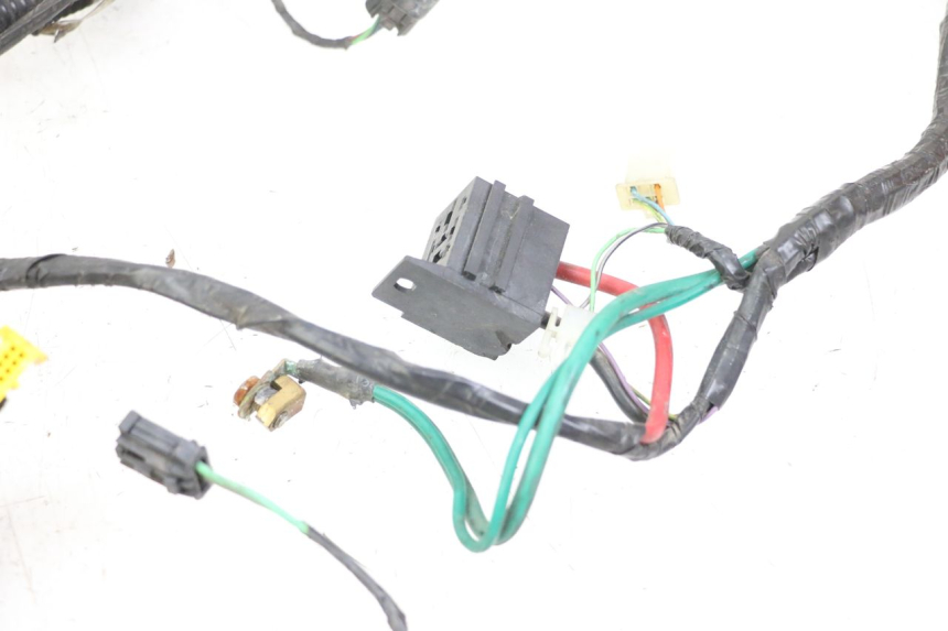 photo de WIRING HARNESS PEUGEOT CITYSTAR 125 (2011 - 2017) - Distinctive features