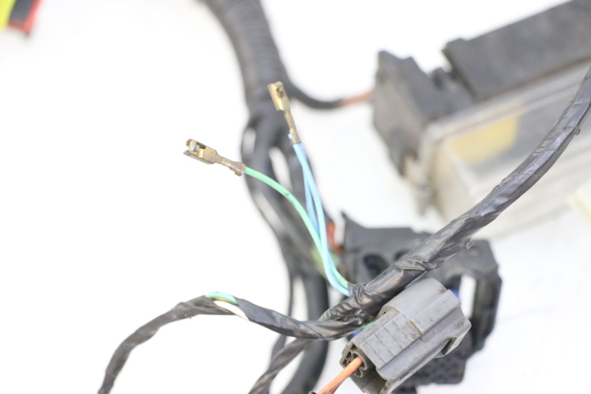 photo de WIRING HARNESS PEUGEOT CITYSTAR 125 (2011 - 2017) - Alternative perspective