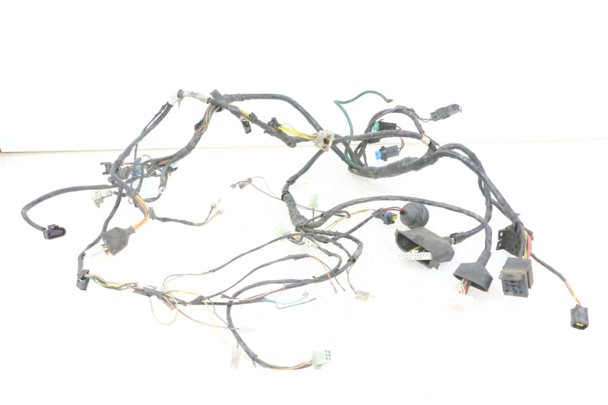 photo de WIRE HARNESS PEUGEOT ELYSTAR 125 (2002 - 2007) - Main view