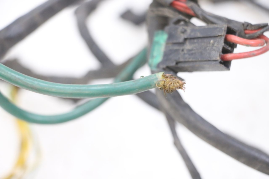 photo de WIRE HARNESS PEUGEOT ELYSTAR 125 (2002 - 2007) - Zoom on usage condition