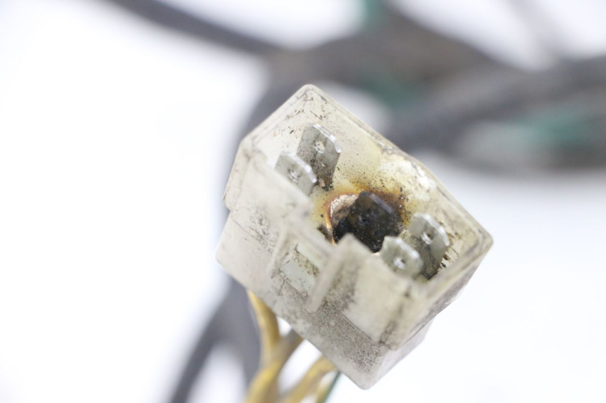 photo de WIRE HARNESS PEUGEOT ELYSTAR 125 (2002 - 2007) - Alternative perspective