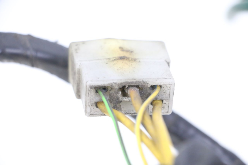 photo de WIRE HARNESS PEUGEOT ELYSTAR 125 (2002 - 2007) - Technical close-up