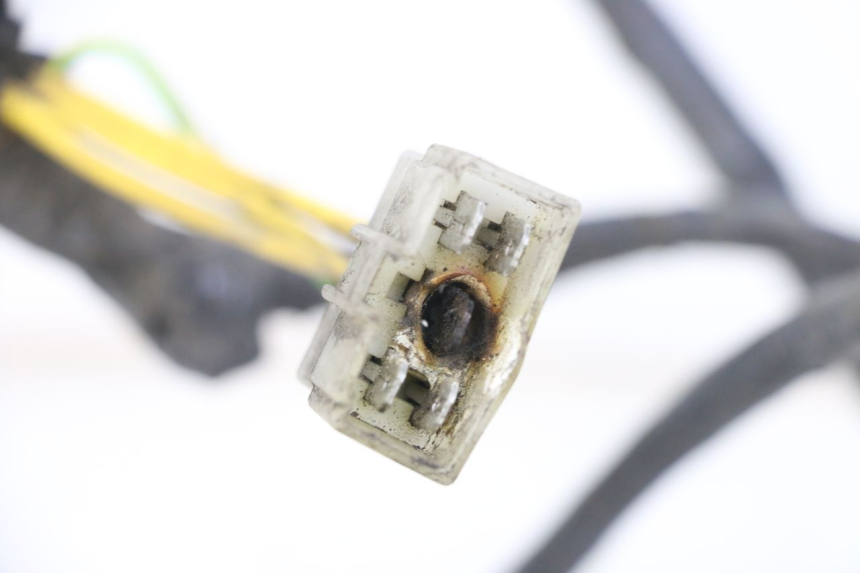 photo de WIRE HARNESS PEUGEOT ELYSTAR 125 (2002 - 2007) - Product overview