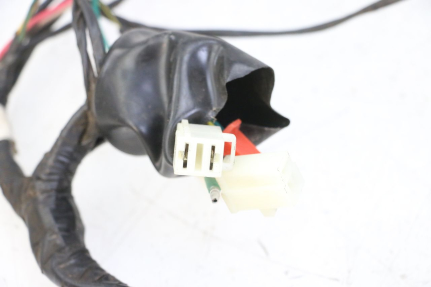 photo de WIRING HARNESS PEUGEOT TWEET 4T 50 (2014 - 2019) - Zoom on usage condition