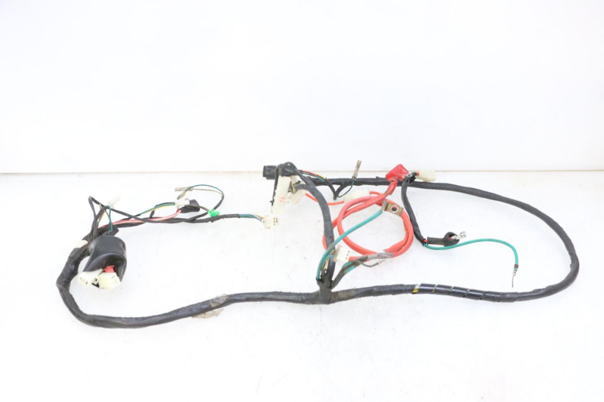 photo de WIRING HARNESS PEUGEOT TWEET 4T 50 (2014 - 2019) - Alternative perspective
