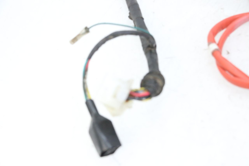 photo de WIRING HARNESS PEUGEOT TWEET 4T 50 (2014 - 2019) - Surface and material condition